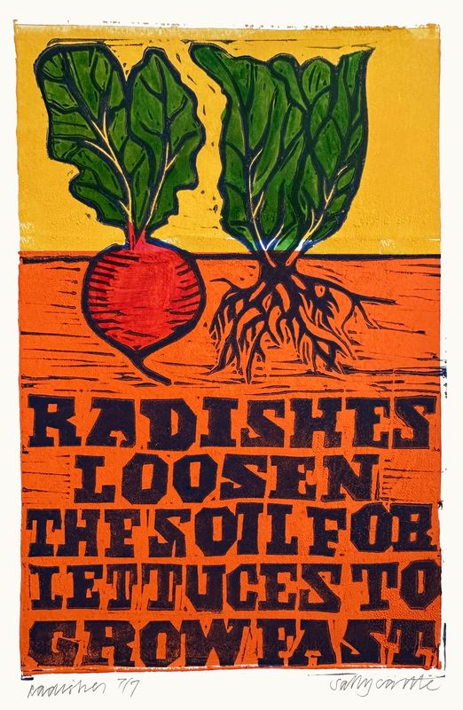 Radishes Loosen The Soil