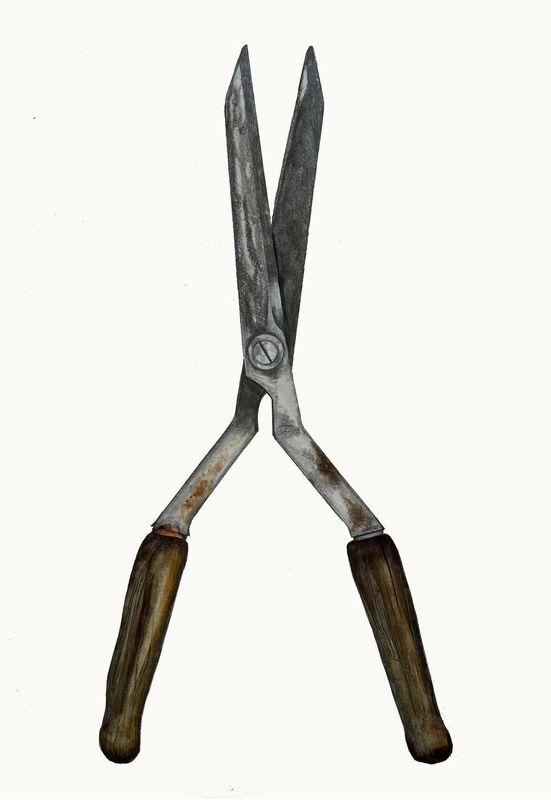 Arthur's Shears  (framed)
