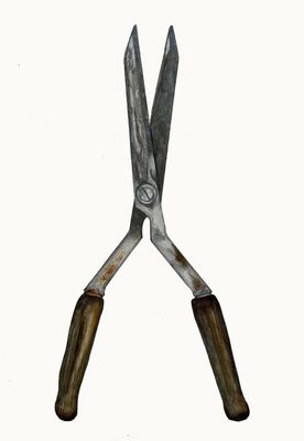 Arthur's Shears  (framed)