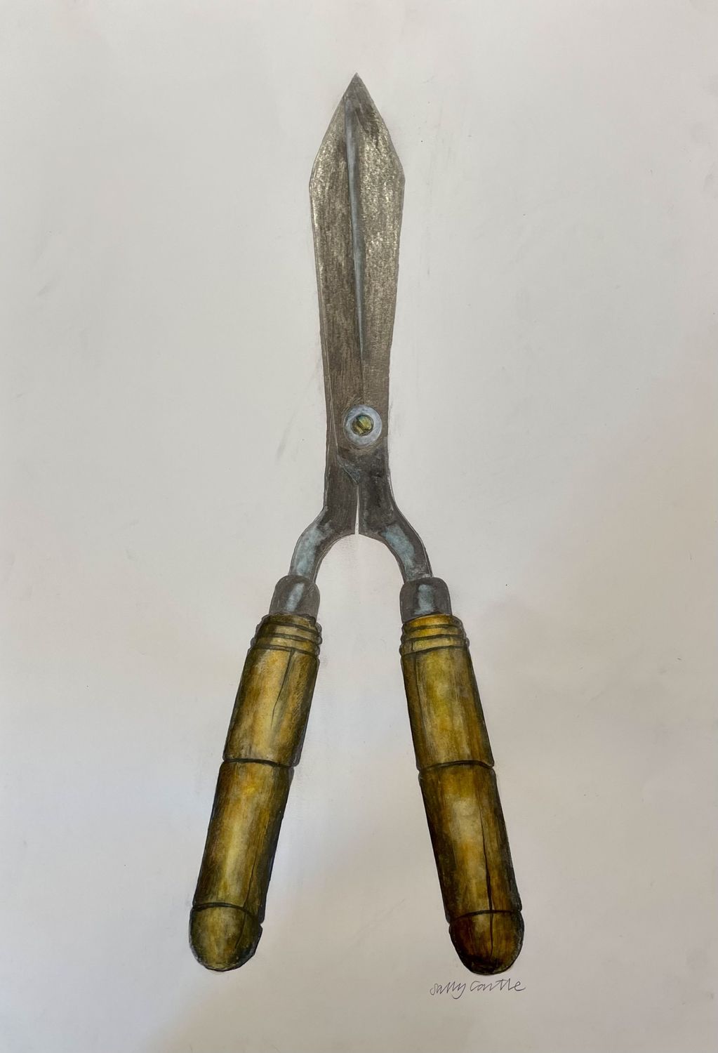 Shears