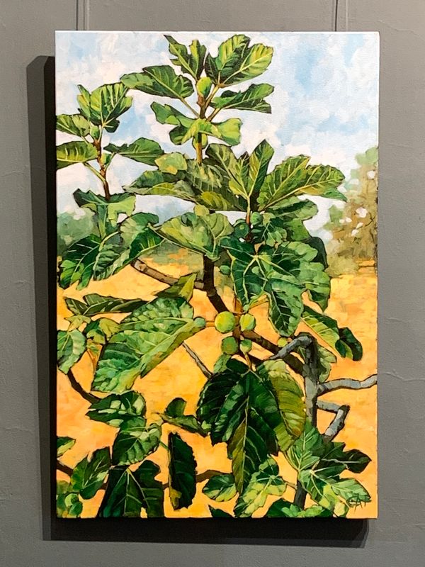 Fig Leaves I