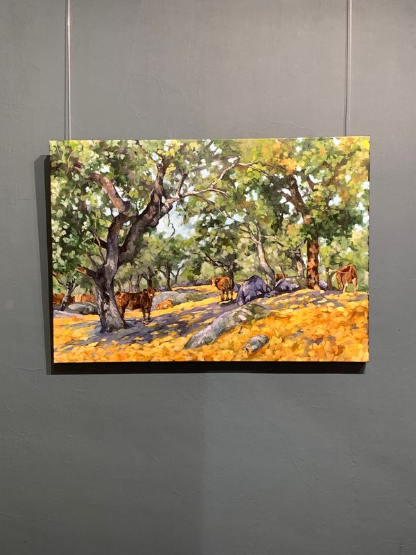 Herdade Da Saudade I