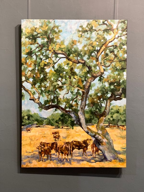 Herdade Da Saudade II