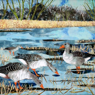 Geese in Flooded Fields Geese in Flooded Fields