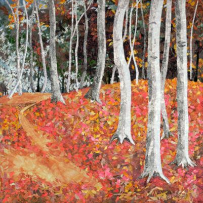 Grey Beeches at Sulham Woods