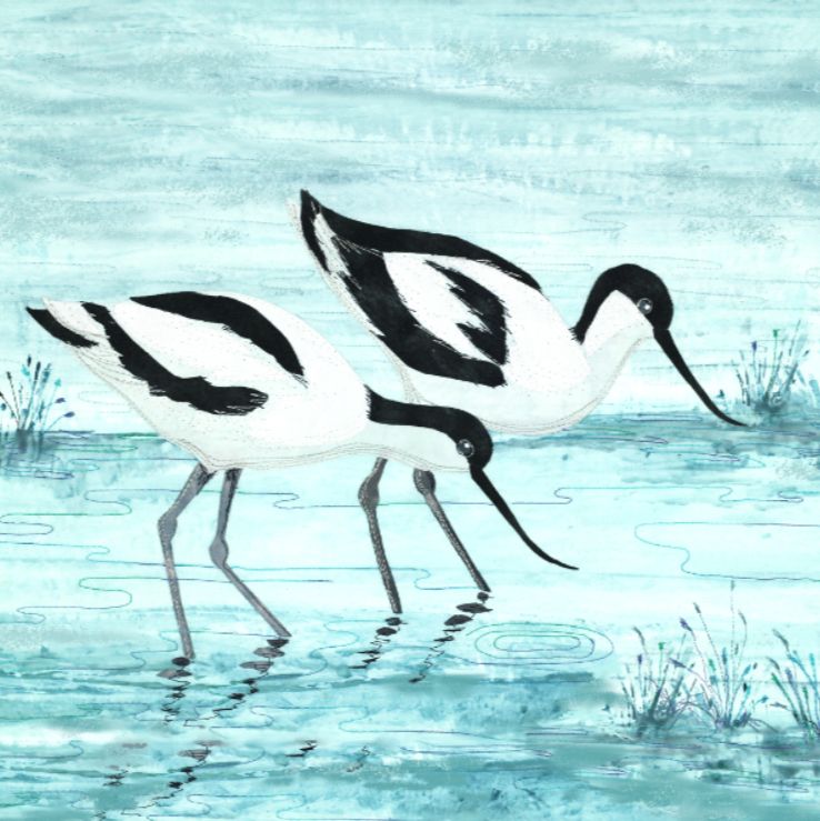Avocets