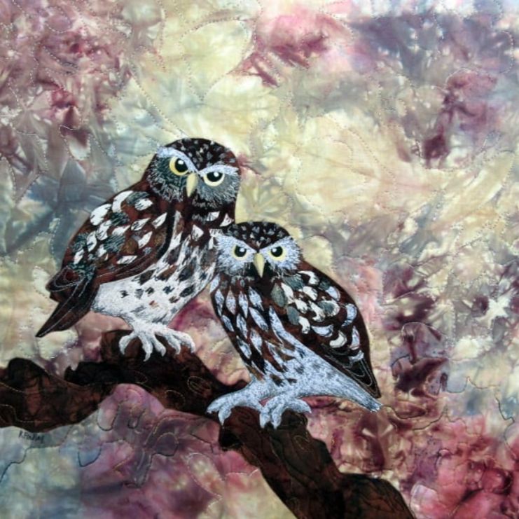 Little Owls