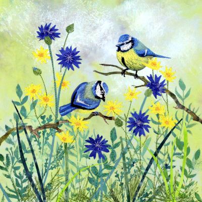 Bluetits and Cornflowers Bluetits and Cornflowers