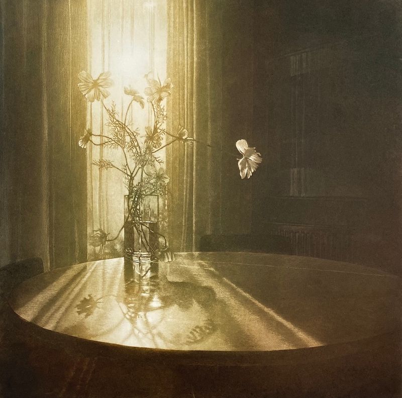 Window Light XXI