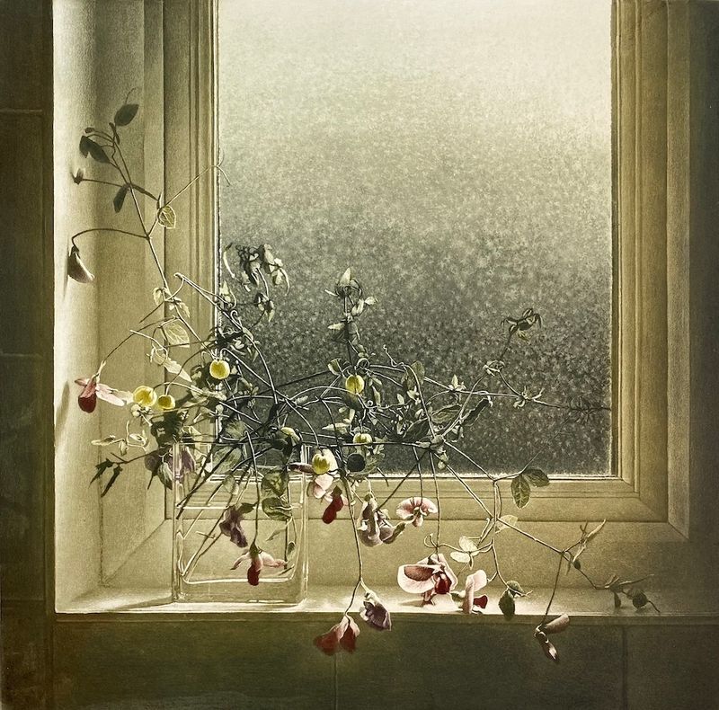 Window Light XXV