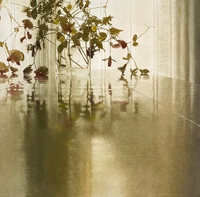 Window Light XXIV