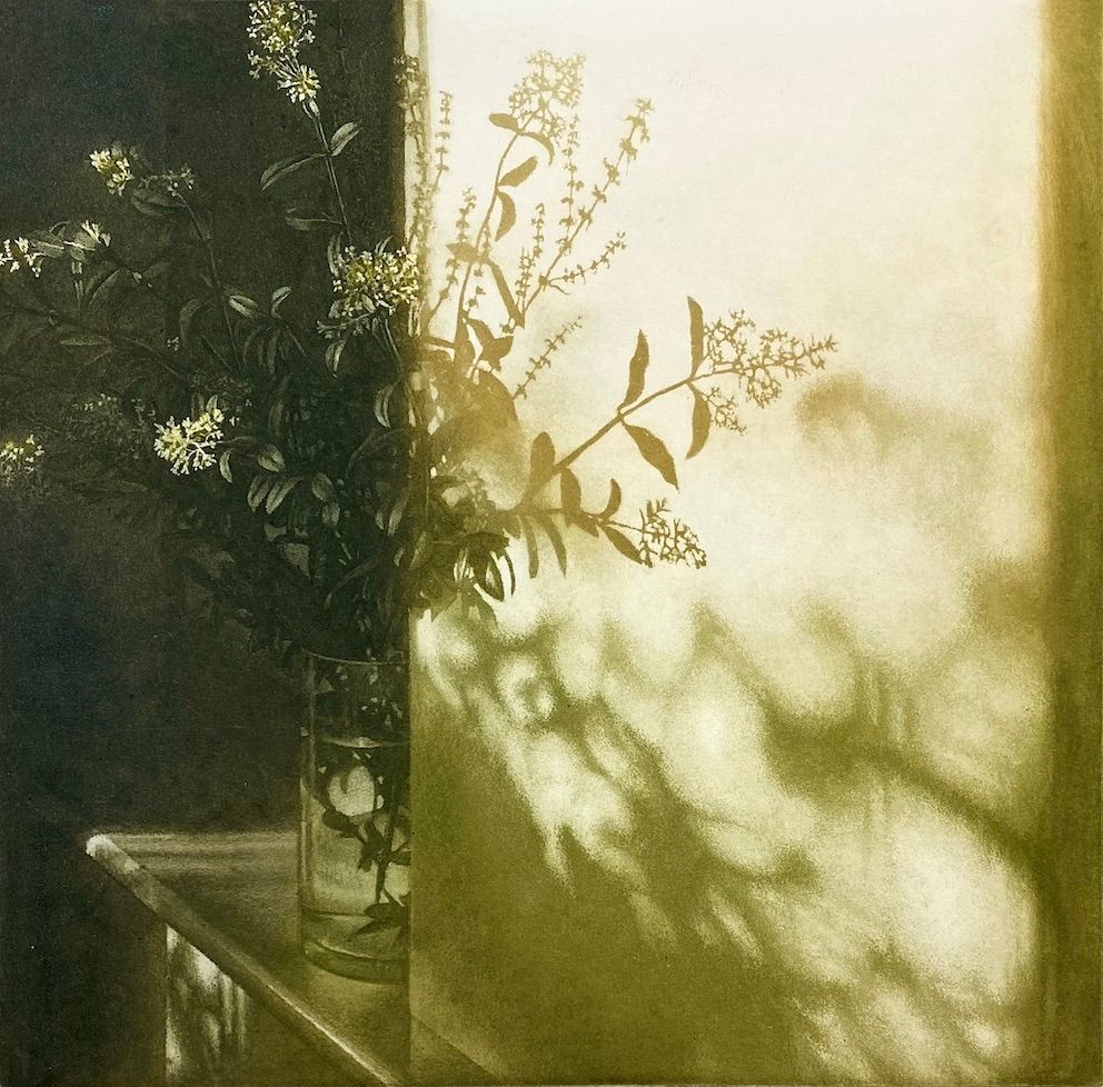 Window Light XXVII