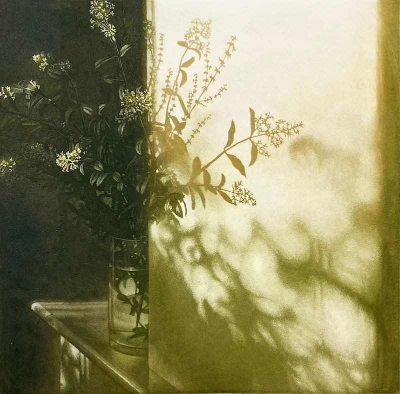 Window Light XXVII