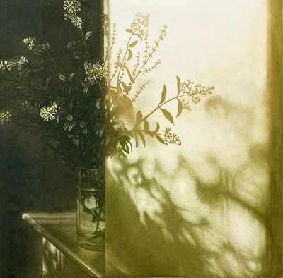 Window Light XXVII