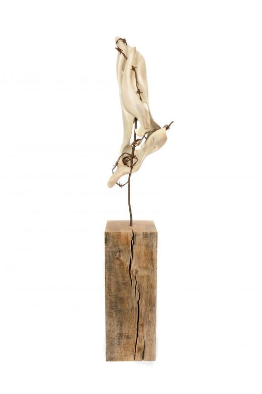 Untitled #6
