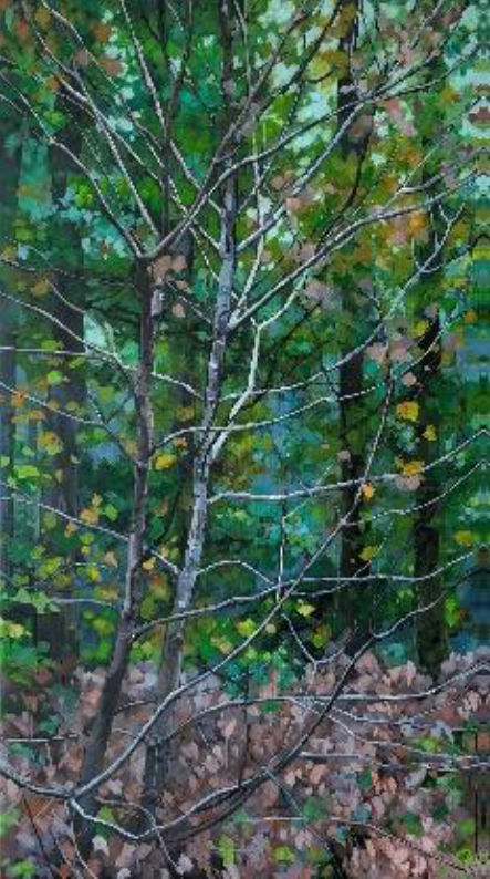 A Peace in the Woodland I
