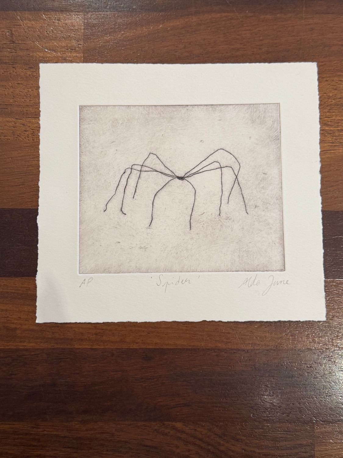 Spider
