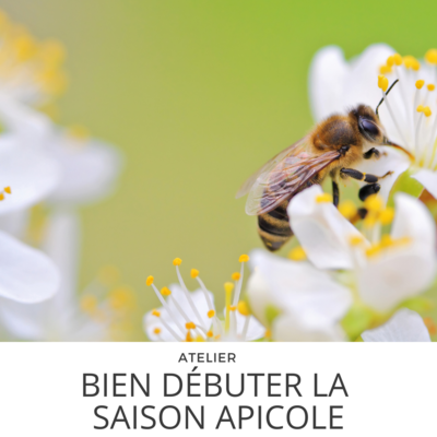 Atelier Bien débuter la saison apicole 20 Avril 13h00