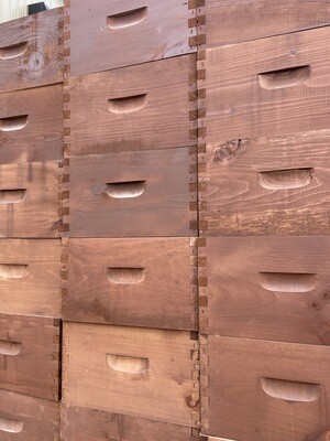 Palette de 48 boites de ruche standard commercial assemblées teinturées avec cadres en plastiques - USAGÉ (presque neuf)