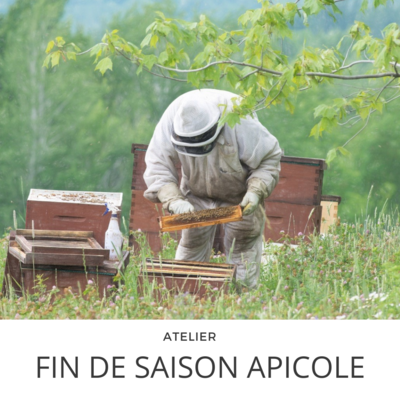 Atelier apicole de fin de saison 3 Août à 12h00
