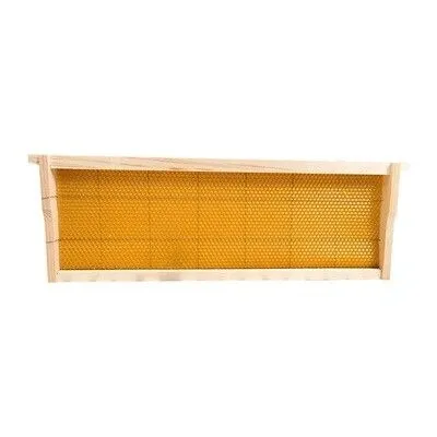 Medium Wooden Frame with armed wax foundation assembled