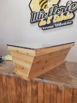 Top Bar Hive