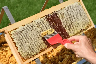 5 Essential Tools for a Honey House