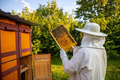 Tips and tricks for a perfect day at the honey house