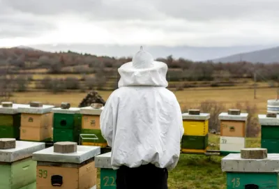 Guide pour l&#39;hivernage des abeilles et des ruches