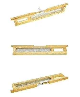 Queen Introduction Frame