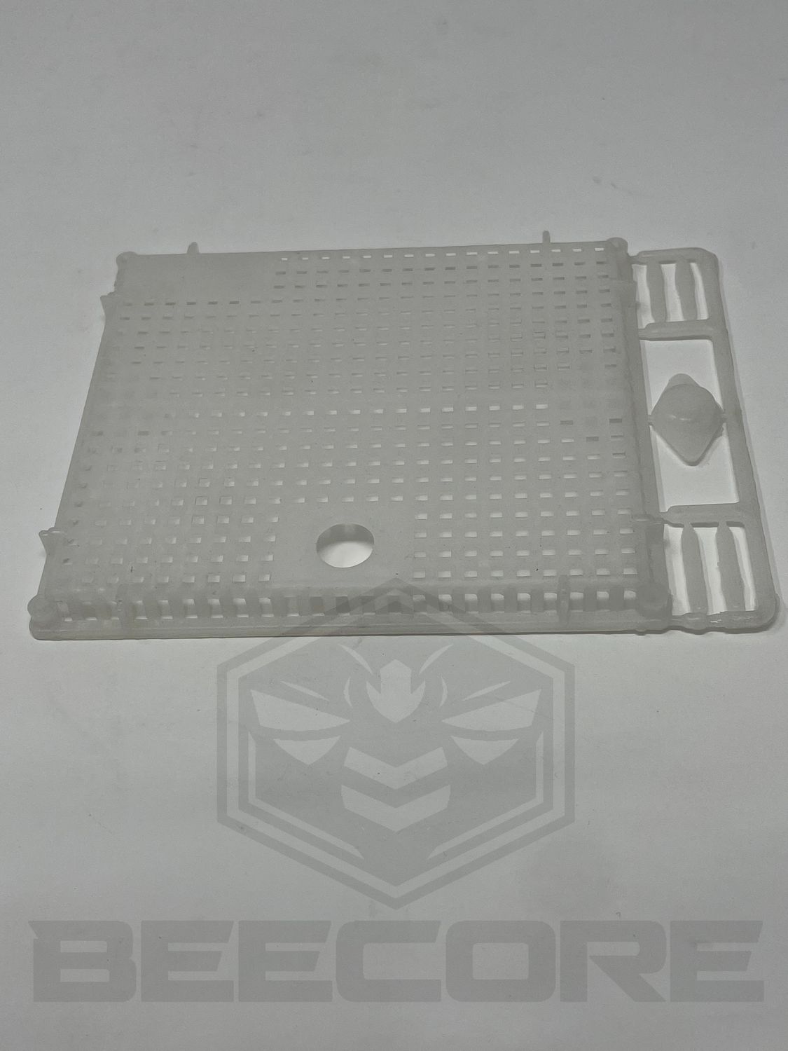 Queen Introduction Cage