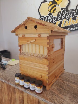 E-Z Hive kit // Beecore