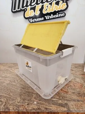 Plastic Uncapping Tray with Stainless Steel Sieve