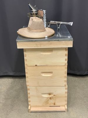 My First Hive Kit
