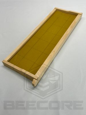 Medium Wooden Frame with armed wax foundation assembled
