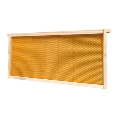 Standard Wooden Frame with wax foundation assembled