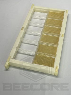 Honey Cassette Frame