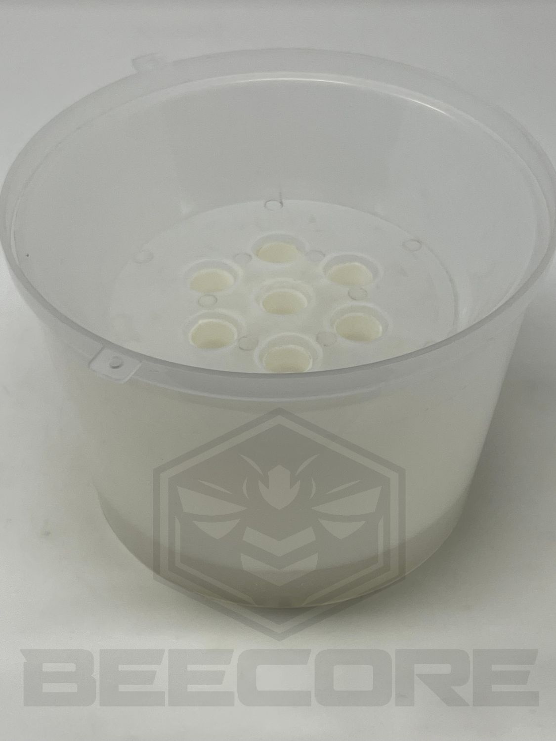 Deluxe Wasp Trap
