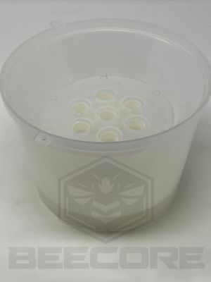 Deluxe Wasp Trap