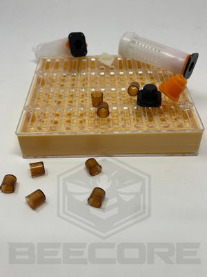 Queen Production kit