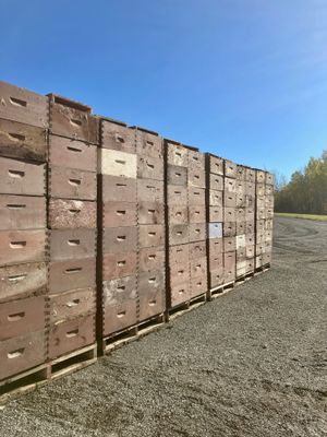 Deep assembled and dyed hive box commercial - USED
