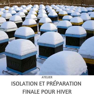 Workshop insulation and final preparations for winter 10th Oct at 8h00