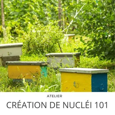 Nucs 101 Workshop 27th June at 8h00