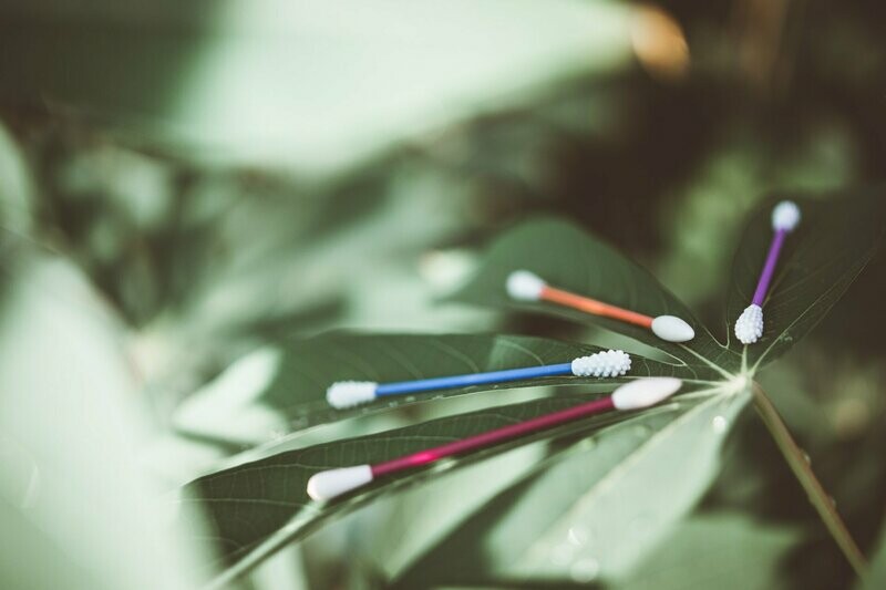 Last Swab (Basic)