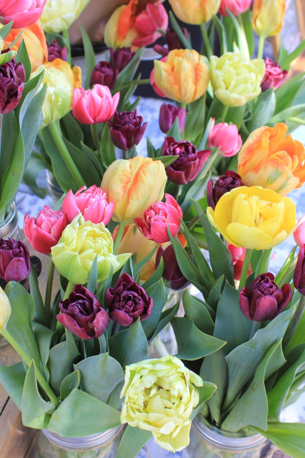 Spring Color Tulip Arrangement