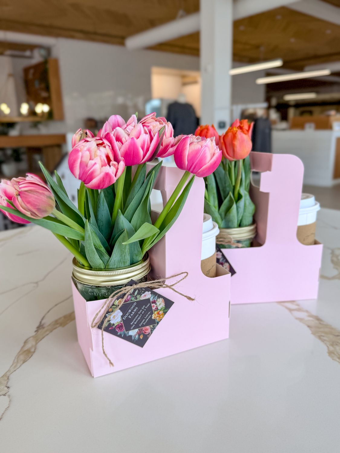 Columbus Tulip Bulbs