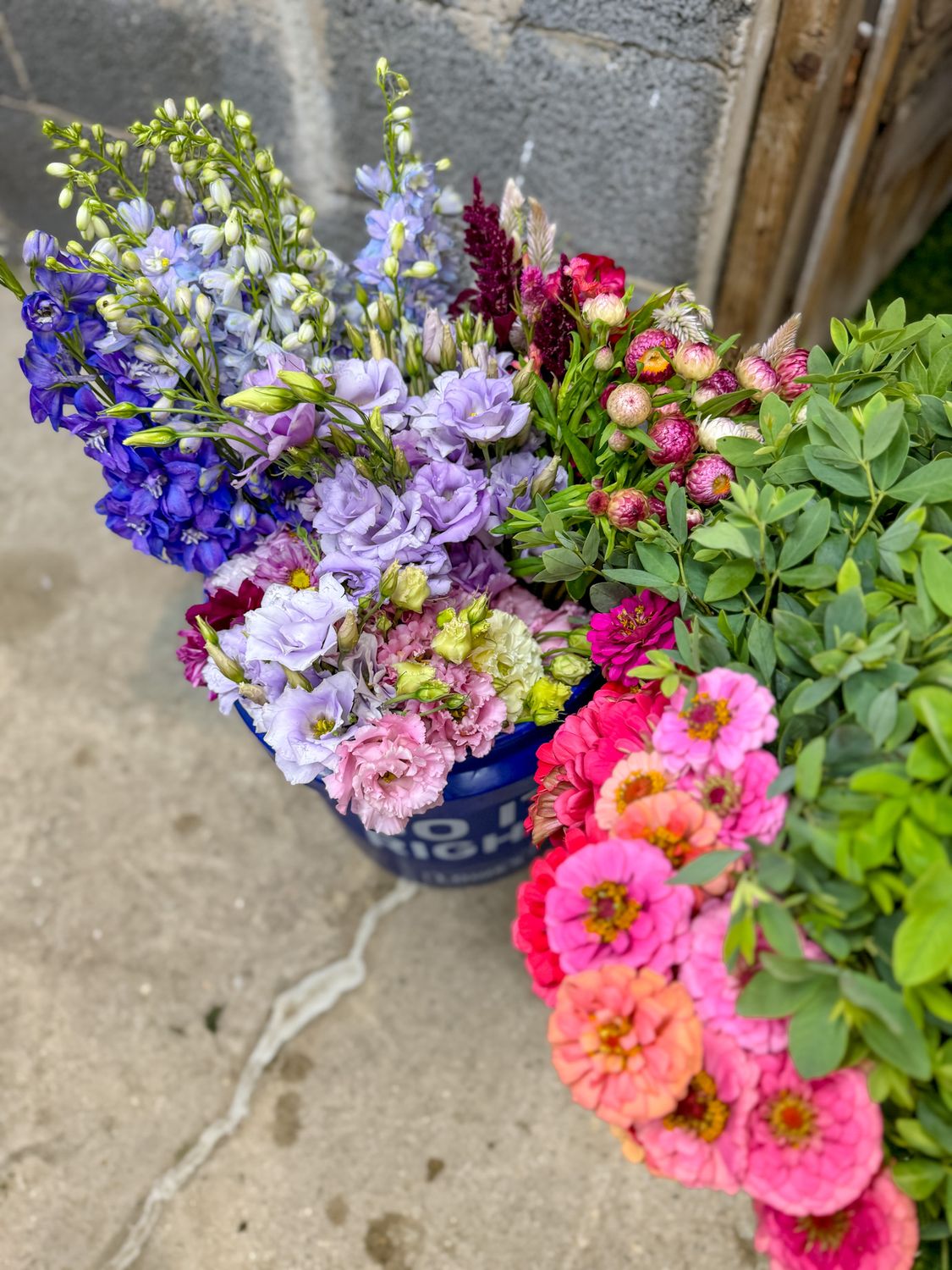 Bulk DIY Flower Bucket
