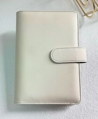 Budget Binder, A6, weiß