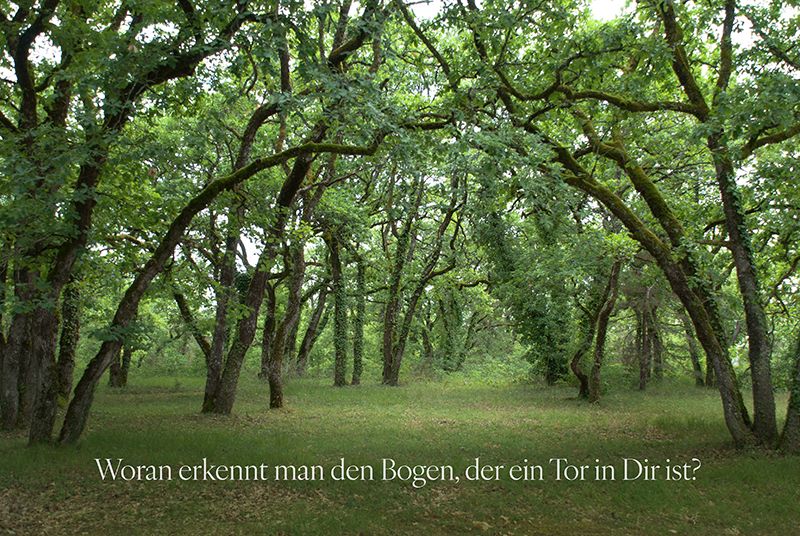 Ehrlichkeit · Kraftbild