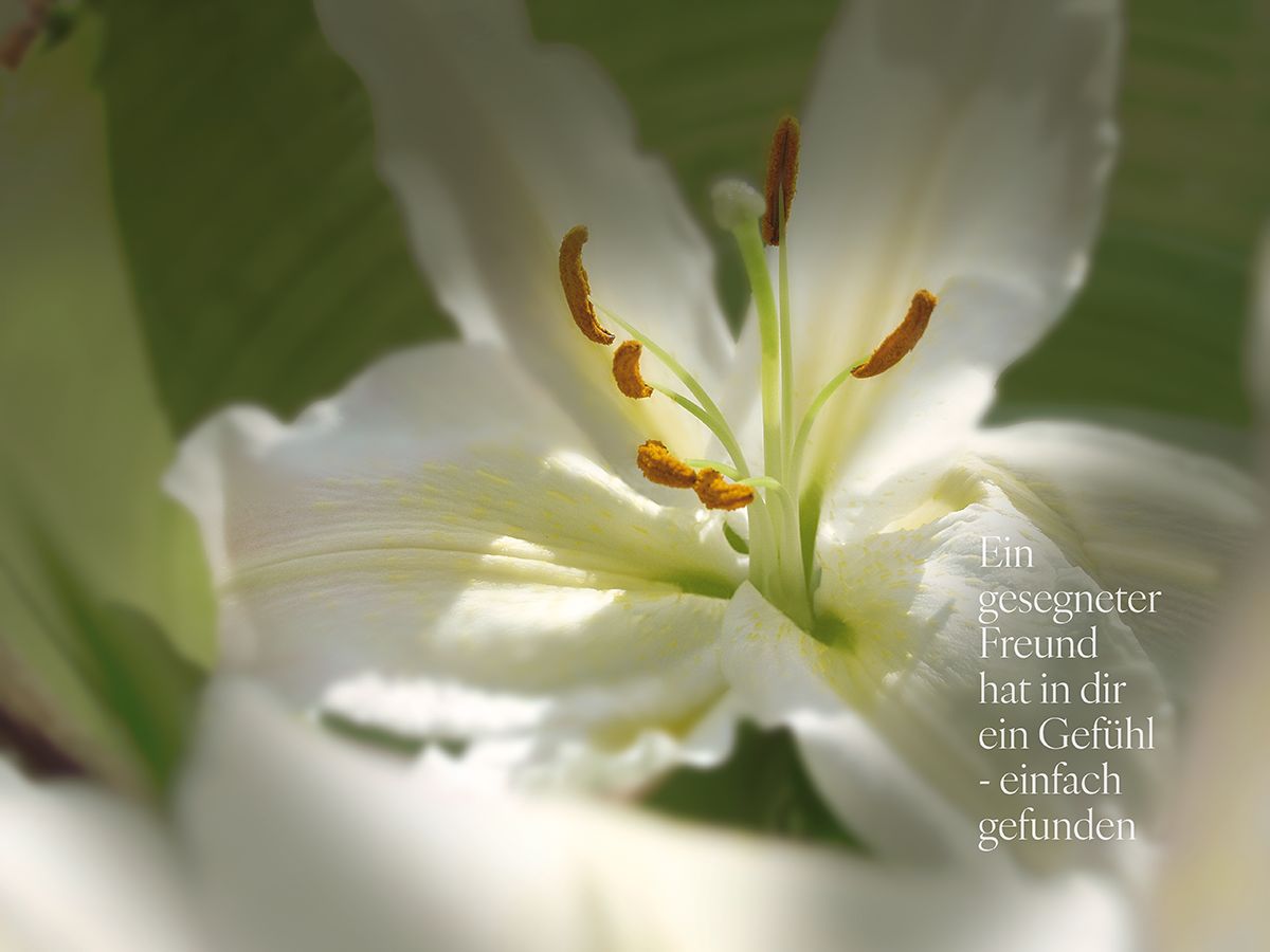 Entwicklung · Kraftbild